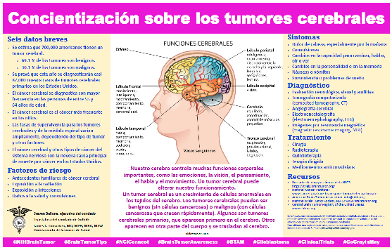 Brain Tumor Awareness Spanish Flyer